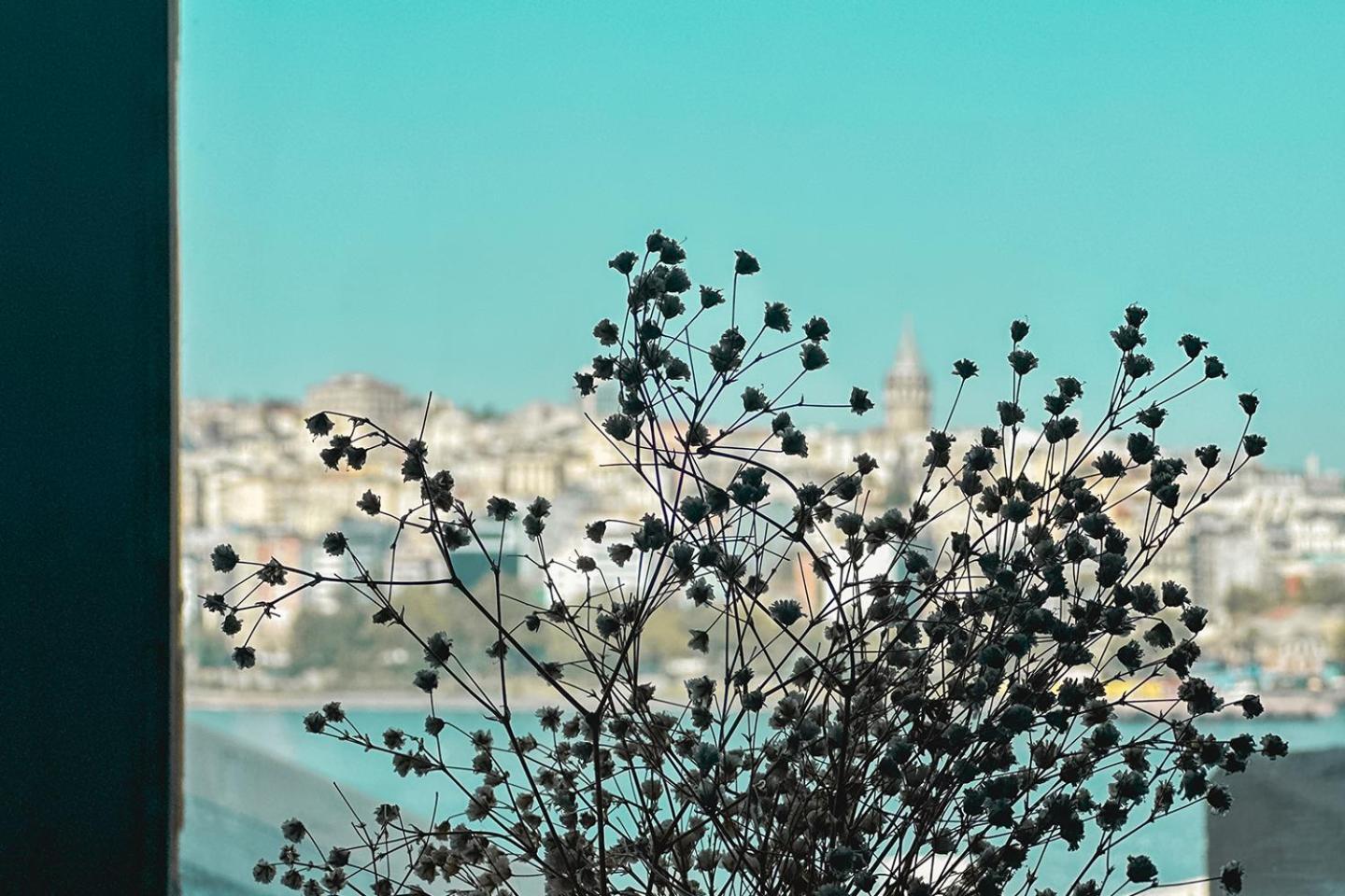 The Halic Bosphorus Hotel イスタンブール エクステリア 写真